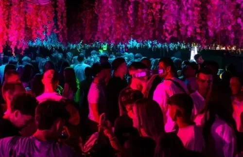 pink light and people are partying in jungle club